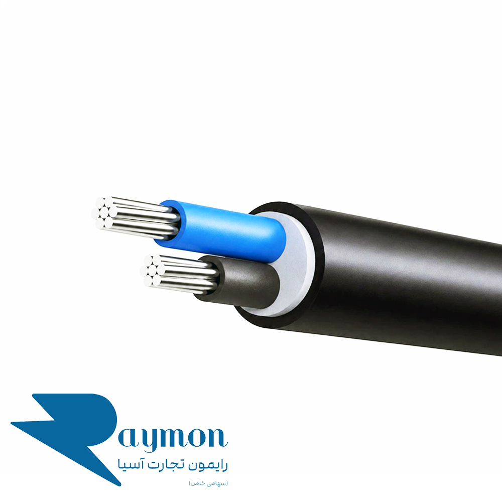 کابل زمینی آلومینیوم 25*2/XLPE-NA2XY/PVC-NAYY